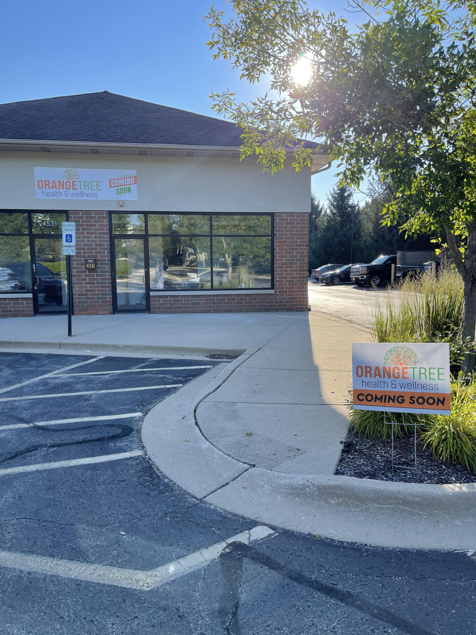 About Us Orange Tree Health and Wellness